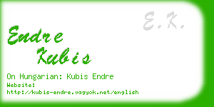 endre kubis business card